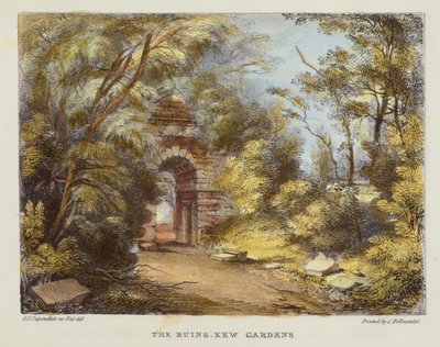 The Ruins, Kew Gardens, plate 15 from Kew Gardens: A Series of Twenty-Four Drawings on Stone, engraved by Charles Hullmandel, published 1820 by George Ernest after Papendiek