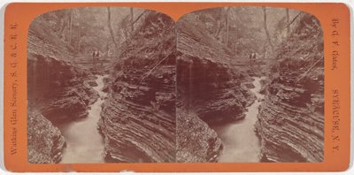 Watkins Glen Scenery, Shadow Gorge by George F. Gates