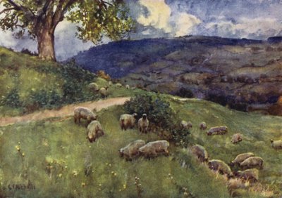 A Cotswold Sheep Pasture by George Franck Nicholls