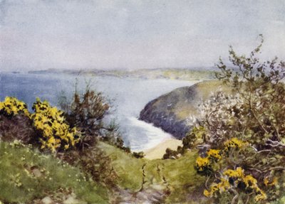 Carbis Bay by George Franck Nicholls