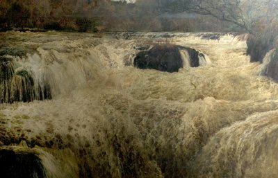 Salmon Leap, Cenarth Falls, Cardiganshire, Wales by George Frank Miles