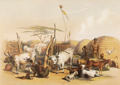 A Zulu kraal on the Umgaki River in Natal by George French Angas