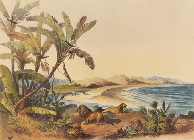 A journey to the mouth of the Umvoti River in Natal by George French Angas