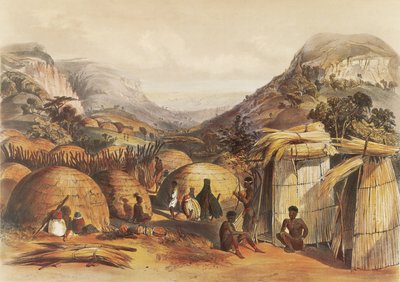 In Natal, resides a significant population of Zulus by George French Angas