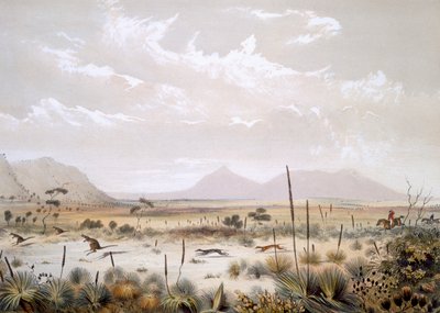 Kangaroo Hunting near Port Lincoln, from 