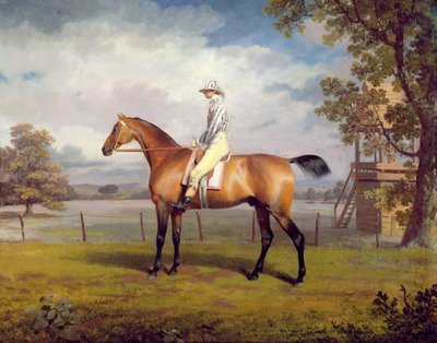 The Duke of Hamilton