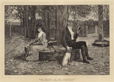 The Waning of the Honeymoon by George Henry Boughton