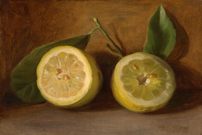 Lemons by George Henry Hall