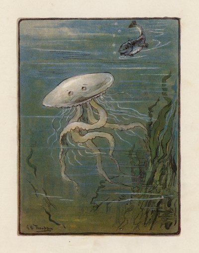 The Jellyfish by George Henry Thompson