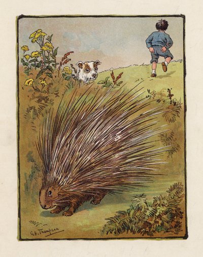 The Porcupine by George Henry Thompson
