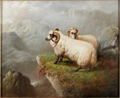 Sheep on a Cliff Edge by George Hepper