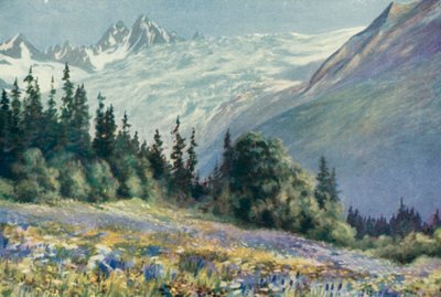 Campanula and Other July Flowers on the Col Des Montets by George Jackson Flemwell
