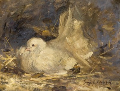 The Brooding Dove by George Jackson Hutchison