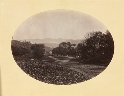 A Road in Williamstown, c. 1870 by George Kendall Warren