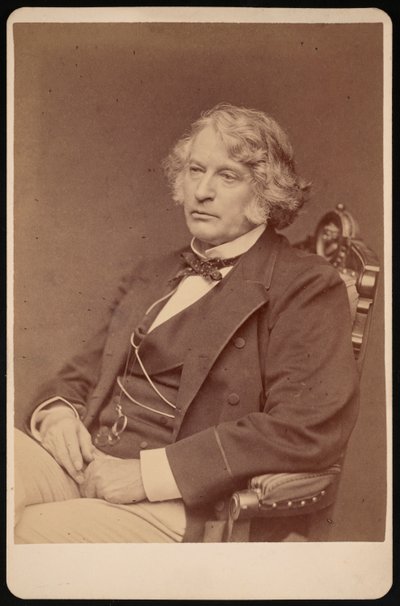 Portrait of Charles Sumner by George K Warren
