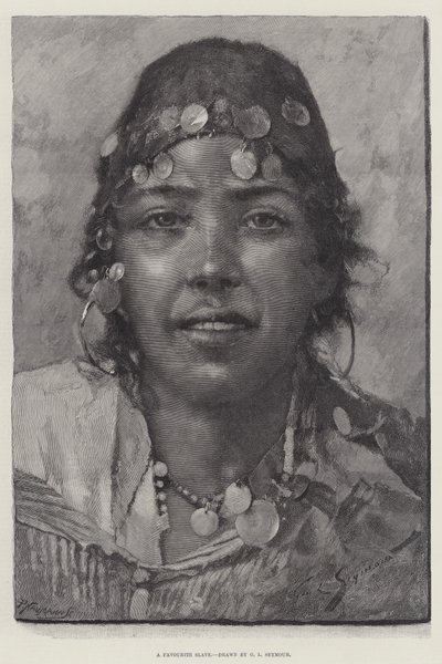 A Favourite Slave by George L. Seymour