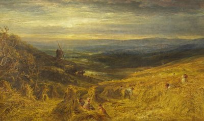 A Surrey Cornfield, c.1877 by George Lucas
