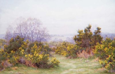 A Surrey Common by George Marks