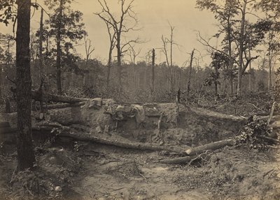 Battle Field of New Hope Church, Georgia, No. 2 by George N. Barnard