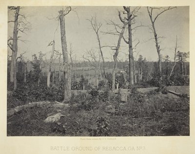 Battle Ground of Resaca, GA, No. 3 by George N. Barnard