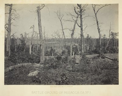 Battle Ground of Resacca, GA, No. 3, 1866 by George N. Barnard