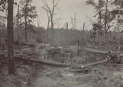 Battlefield of New Hope Church, Georgia, No. 2, 1865-1866 by George N. Barnard