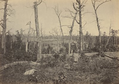 Battleground of Resaca, Georgia, No 3, 1864 by George N. Barnard