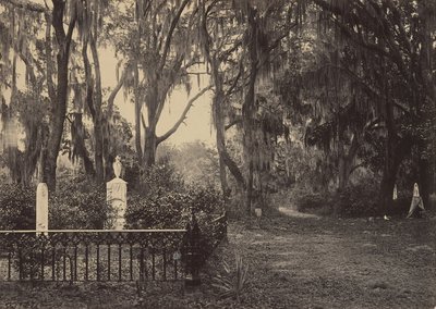 Buen-Ventura, Savannah, Georgia by George N. Barnard