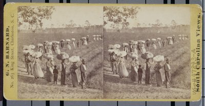 Returning from the Cottonfields in South Carolina by George N. Barnard