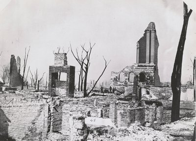 Ruins of the Chicago Historical Society building after the Great Chicago Fire, 1871 by George N. Barnard