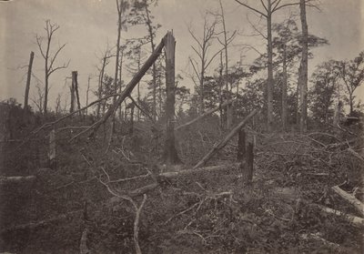 The Hell Hole New Hope Church, Georgia by George N. Barnard