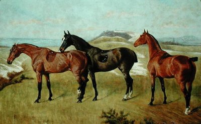 Three Horses: Whissendine, Swallow and Tiptop by George Paice
