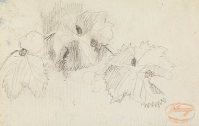 Study of Leaves 1 by George Romney
