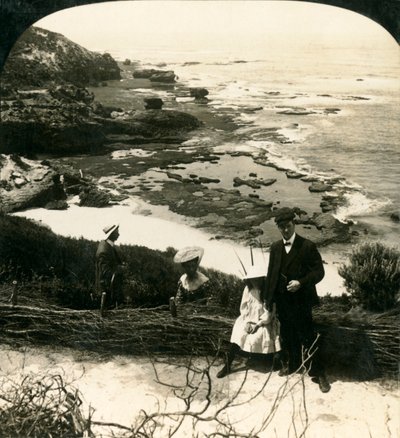 Low Tide at the Back Beach, Sorrento, Victoria, Australia by George Rose