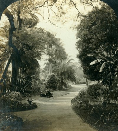 Pathway in the Queens Park, Brisbane, Australia by George Rose