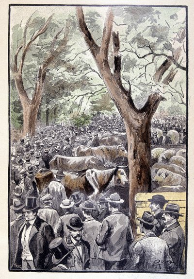 The Crowd Was Already Crowding the Place of the Competition (page 259) in 