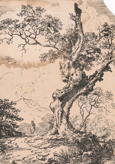 Man and large tree in landscape by George Samuel