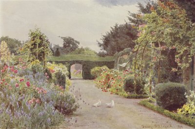 China Roses and Lavender, Palmerstown by George Samuel Elgood