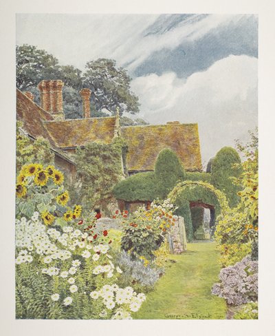 Cleeve Prior, Sunflowers, illustration in 