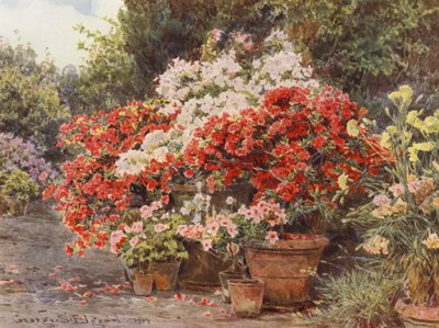 Italian Gardens: Azaleas by George Samuel Elgood
