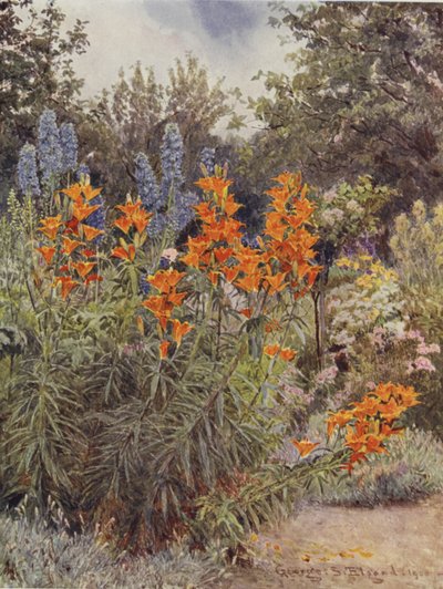 Orange Lilies and Larkspur by George Samuel Elgood