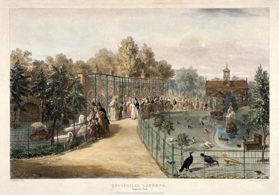 Zoological Gardens, Regent