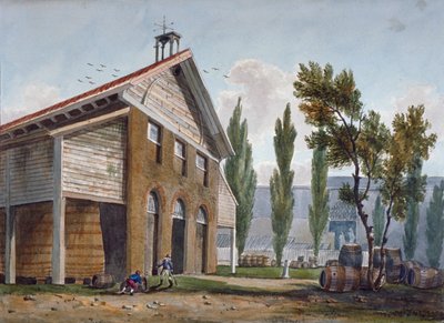 Beaufoy