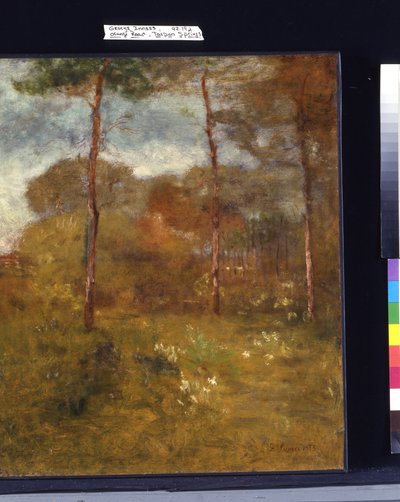 Orange Road, Tarpon Springs by George Snr. Inness