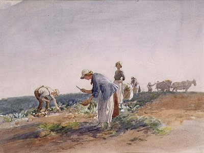 The Turnip Crop by George Soper