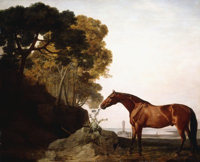 A Bay Arab in a Coastal Landscape by George Stubbs