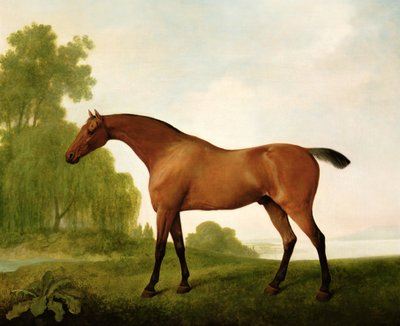 A Bay Thoroughbred in a Landscape by George Stubbs