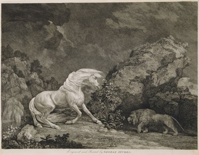 A Horse Affrighted by a Lion, engraved by the artist by George Stubbs