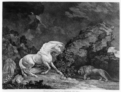 A Horse Affrighted by a Lion, engraved by the artist by George Stubbs