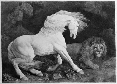A Horse Affrighted by a Lion, engraved by the artist by George Stubbs